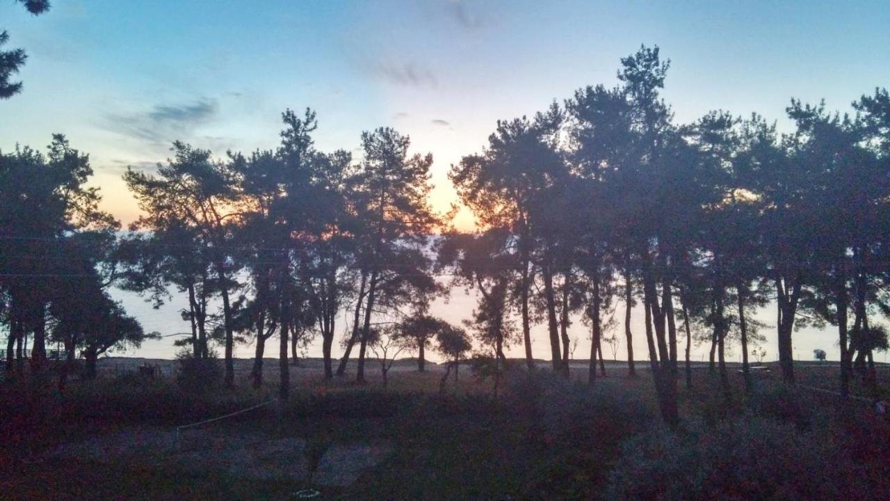 리메나스 Nisteri Seaside 아파트 외부 사진
